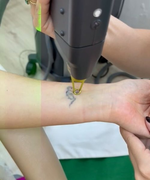 WhatsApp Image 2024-02-20 at 11.42.42