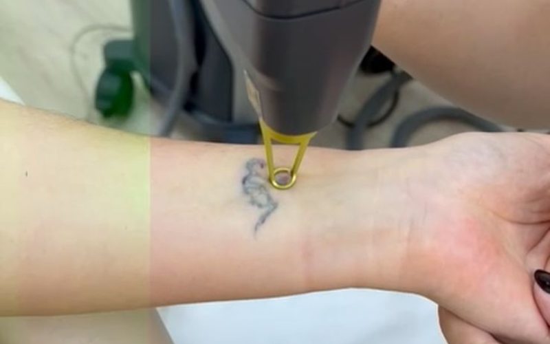 WhatsApp Image 2024-02-20 at 11.42.42